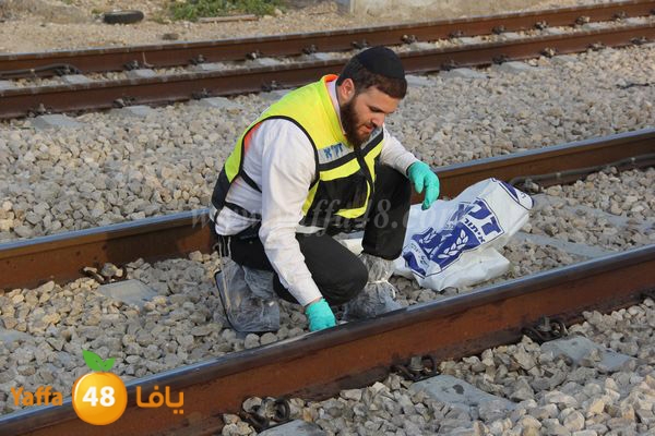 dahs lud 01121 (5).JPG